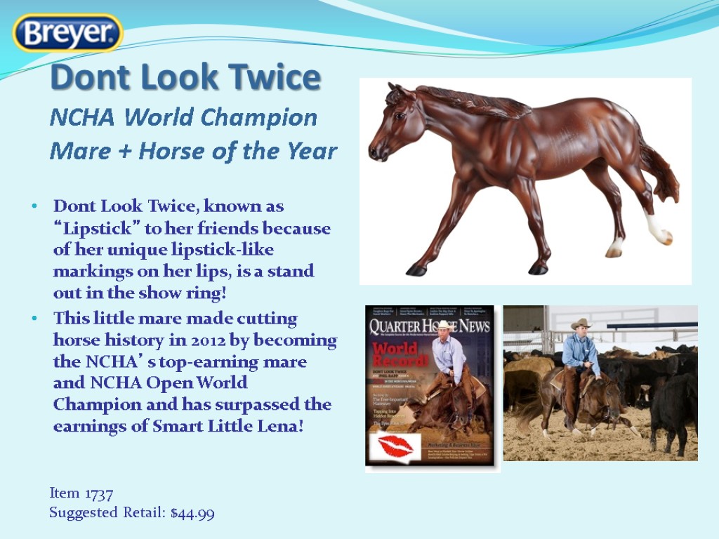 Dont Look Twice NCHA World Champion Mare + Horse of the Year Dont Look